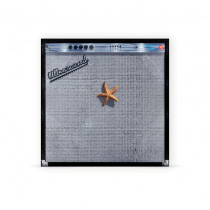 (((((Ultrasound)))))+ Doppio Vinile - Neighbourhood The - LP