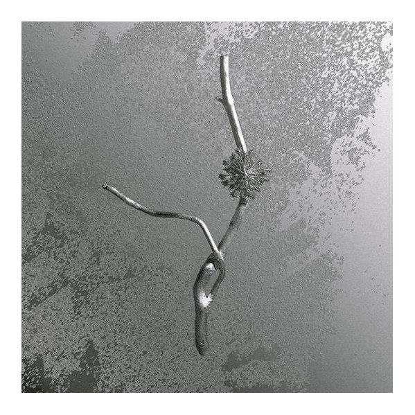 La Maccaia - Banfi Gaia - LP