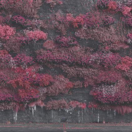 Even In Arcadia - Sleep Token - LP