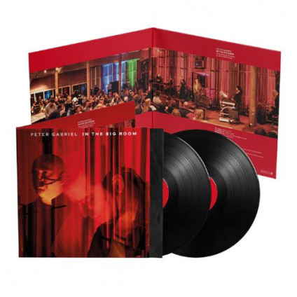 In The Big Room - Gabriel Peter - LP