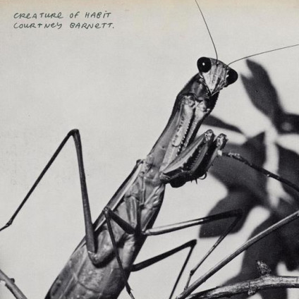 Creature Of Habit - Barnett Courtney - CD