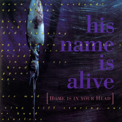 Home Is In Your Head (Remastered Edt.) - His Name Is Alive - LP