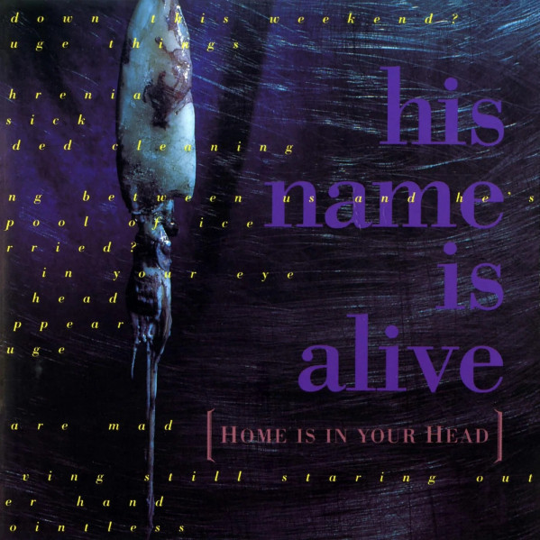 Home Is In Your Head (Remastered Edt.) - His Name Is Alive - LP