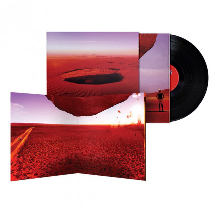 Anatomia Di Uno Schianto Prolungato Lp + Poster - Peyote Willie - LP
