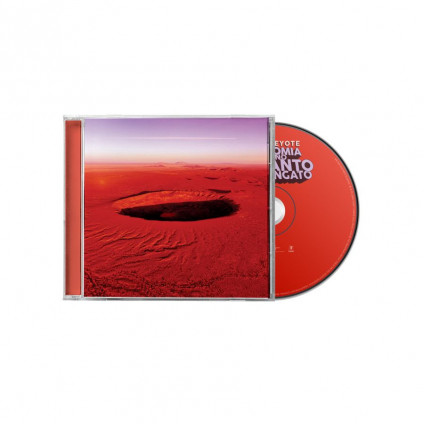 Anatomia Di Uno Schianto Prolungato - Peyote Willie - CD