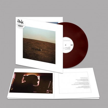 The City Coming To Erase It All - Fink - LP