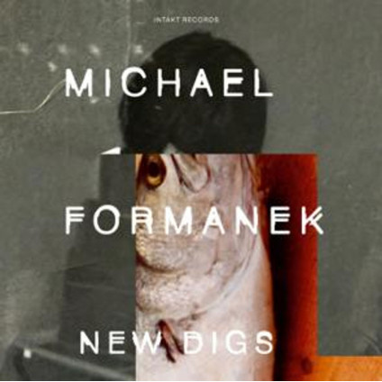 New Digs - Formanek