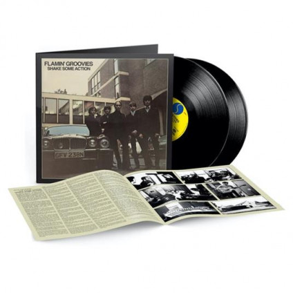 Shake Some Action - Flamin' Groovies - LP