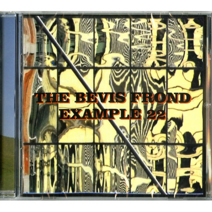 Example 22 - Bevis Frond - CD