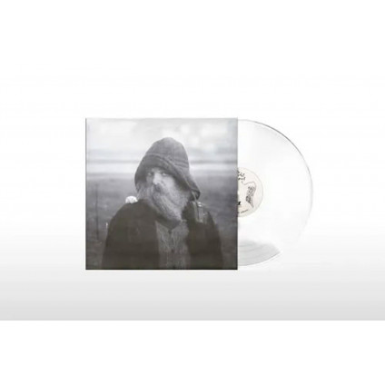 Role Model Hermit (Vinyl Clear) - Mary In The Junkyard - LP
