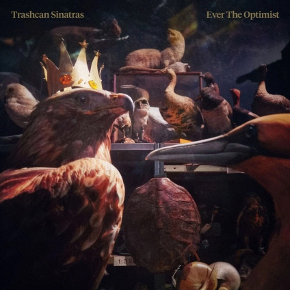 Ever The Optimist - Trashcan Sinatras - LP
