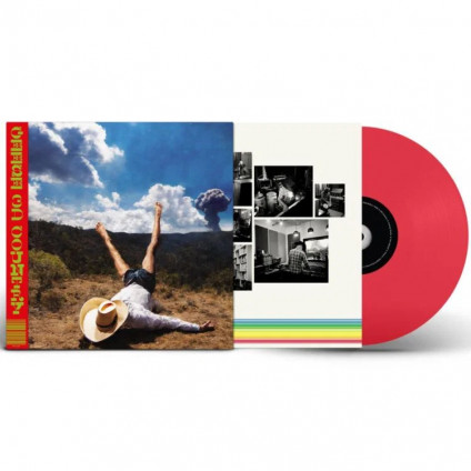3D Country - Geese - LP