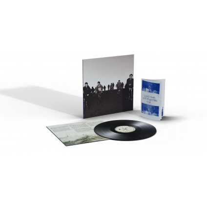 Something Worth Waiting For - Friko - LP