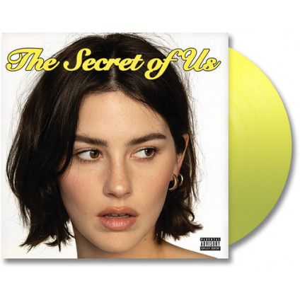 The Secret Of Us - Abrams Gracie - LP