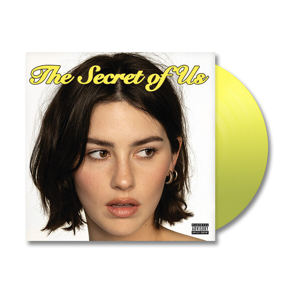 The Secret Of Us - Abrams Gracie - LP