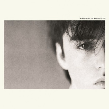 Crumbling The Antiseptic Beauty - Felt - LP