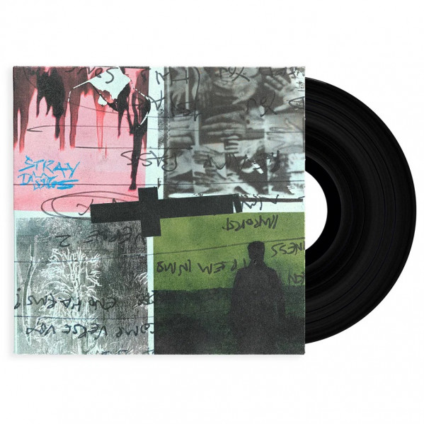 Stray Dogs - Nothing But Thieves - LP