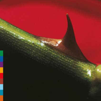 Night Song (30Th Anniversary Edition) - Nusrat Fateh Ali Khan - LP