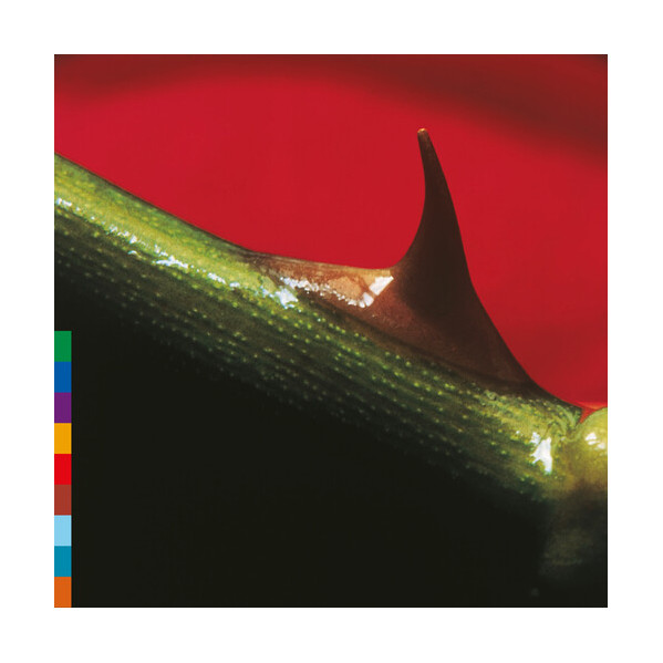 Night Song (30Th Anniversary Edition) - Nusrat Fateh Ali Khan - LP