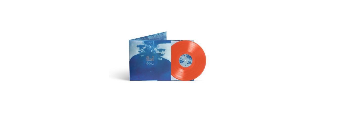 Blue Morpho Limited Edition Psyche Orange